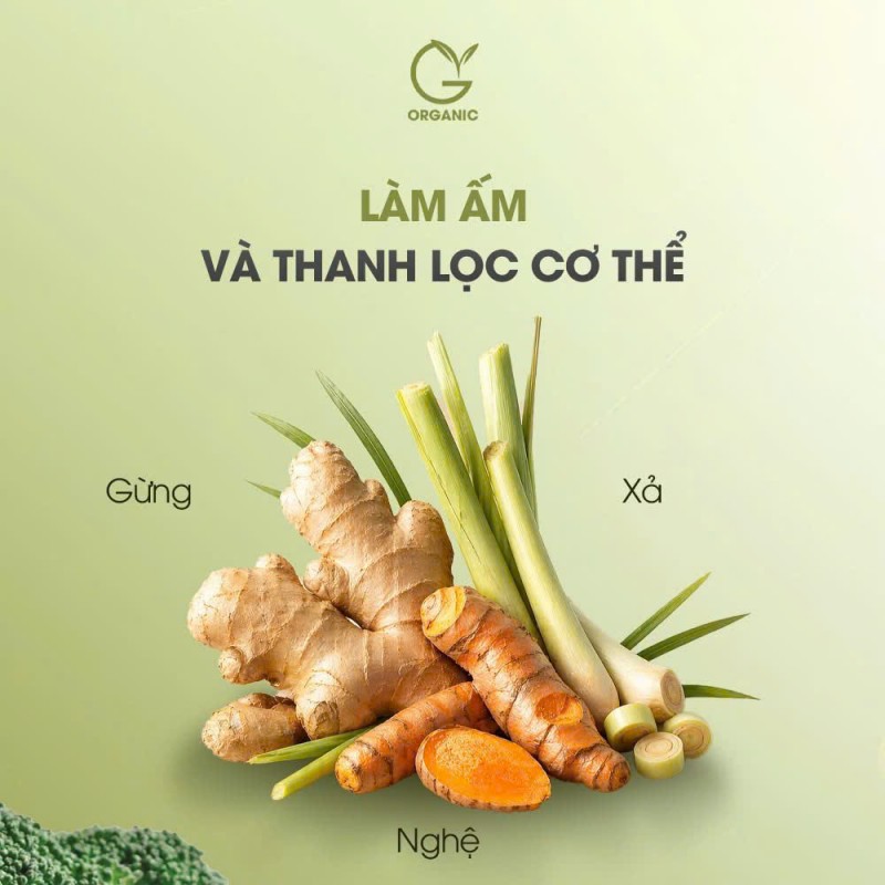 Gừng Nano G.Organic – giải pháp ấm bụng, nhẹ êm cho hệ tiêu hoá