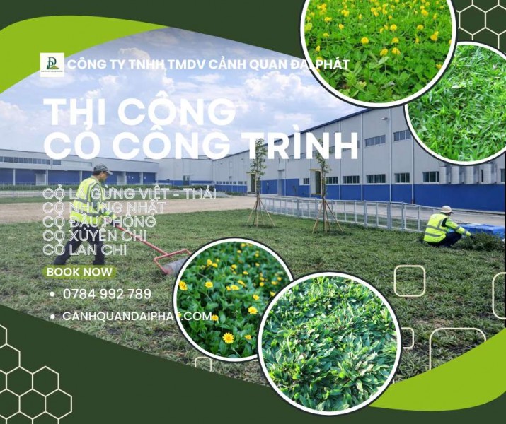 Dịch vụ trồng cỏ cảnh quan – thi công cỏ công trình tại Đồng Nai