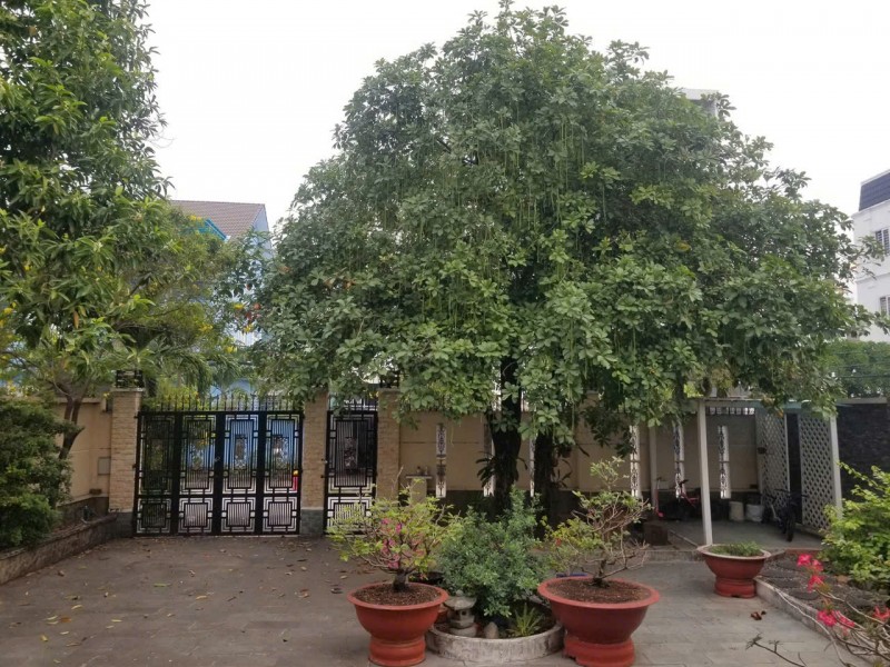 BIỆT THỰ MẶT TIỀN TL49 – THẠNH LỘC Q12 – 571M² THỔ CƯ – GIÁ 36 TỶ