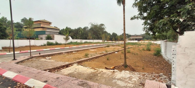 Bán đất xã Cổ Đông gần khu công nghệ cao Hòa Lạc, ĐHQG, 100m2 full thổ cư, MT 5-8m, ô tô 7c vào đất