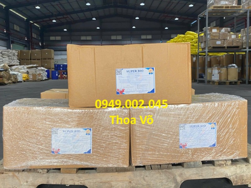 SUPER BIO – MEN VI SINH 5 CHỦNG CAO CẤP XỬ LÝ ĐÁY AO, KHỬ KHÍ ĐỘC, GÂY MÀU NƯỚC