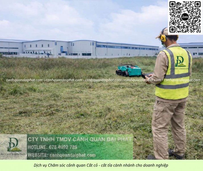 DỊCH VỤ CẮT CỎ KCN BÌNH DƯƠNG – AN TOÀN, NHANH CHÓNG, CHUYÊN NGHIỆP