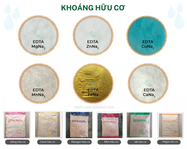 Bán EDTA Chelate Vi Lượng Zn Mn Mg Fe Cu Ca Giá Tốt Tại TP.HCM