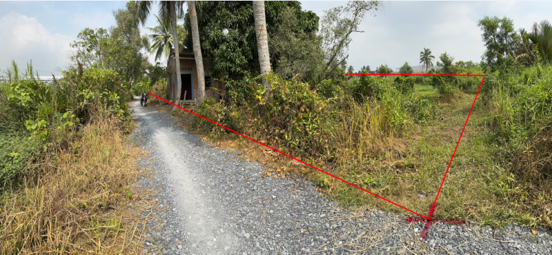 CHÍNH CHỦ BÁN ĐẤT THỔ CƯ – XÃ BÌNH ĐỨC, TỈNH TÂY NINH (LONG AN)