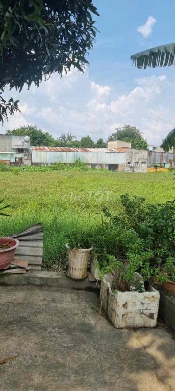 BÁN 1.950M² ĐẤT NÔNG NGHIỆP QUY HOẠCH ĐẤT Ở - HẺM XE HƠI - GIÁ CHỈ 7,8 TRIỆU/M² TẠI HÓC MÔN