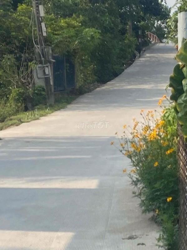 CHÍNH CHỦ Cần Bán 1800M2 Đất Lúa Tại Phạm Văn Chính , Xã Mỹ Lệ, Huyện Cần Đước, Long An