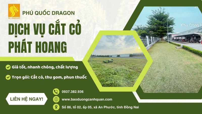  Nhận cắt cỏ khu dân cư, đất dự án, đô thị