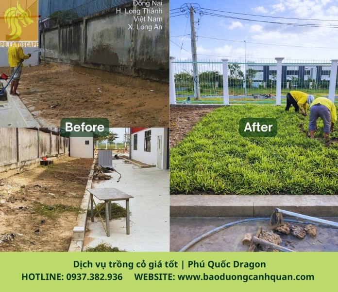 Dịch Vụ Cắt Cỏ Phát Hoang Tại Đồng Nai, TP.HCM Bạn đang đau đầu vì cỏ dại mọc um tùm trên đất dự án,