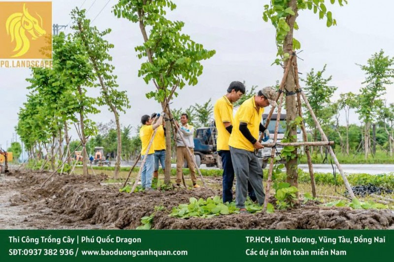 Dịch Vụ Cắt Cỏ Phát Hoang Tại Đồng Nai, TP.HCM Bạn đang đau đầu vì cỏ dại mọc um tùm trên đất dự án,