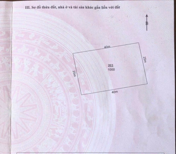 CƠ HỘI ĐẦU TƯ SINH LỜI - Siêu Phẩm Làm Nhà Vườn  1.000m² tại xã Bình Đức, Bến Lức, Long An.
