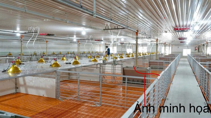 CHÍNH CHỦ CẦN BÁN TRANG TRẠI NUÔI HEO  DIỆN TÍCH LỚN - TẠI THẠNH TRỊ - KIẾN TƯỜNG - LONG AN