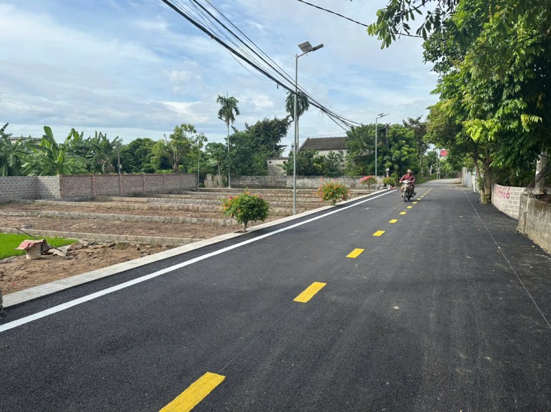 5 lô đất mặt đường 8m Đại Trang - Sát KCN Tràng Duệ 3 - Cơ hội đầu tư và kinh doanh hiếm có