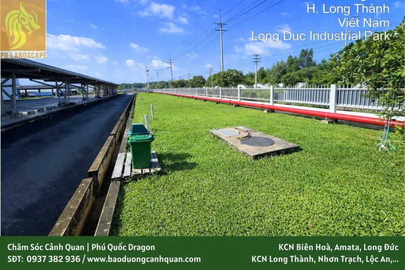Dịch vụ cắt cỏ và trồng cỏ cảnh quan tại Đồng Nai