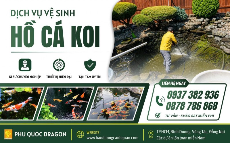 NHẬN VỆ SINH HỒ CÁ KOI TẠI NHÀ GIÁ CẢ HỢP LÝ