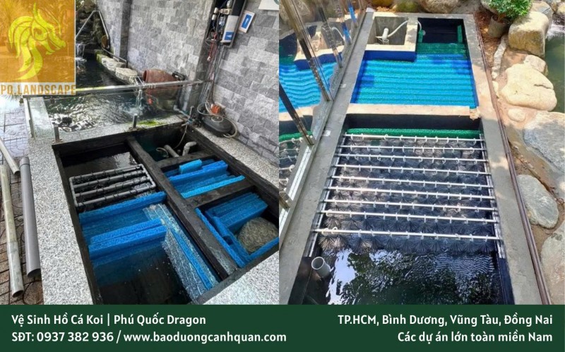 NHẬN VỆ SINH HỒ CÁ KOI TẠI NHÀ GIÁ CẢ HỢP LÝ