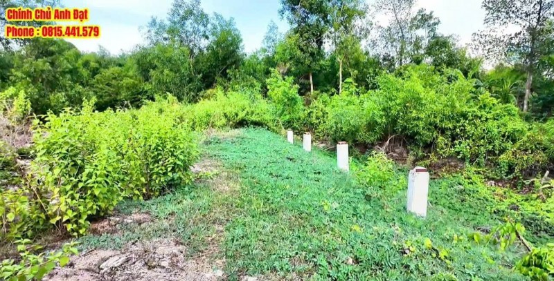 CƠ HỘI SỞ HỮU 750M² ĐẤT MẶT TIỀN DH9 – GIÁ CỰC TỐT-  xã Châu Thành (ngã tư Tam Hạp) - gần Nướng Ngói