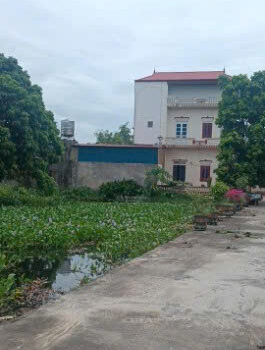 Chính chủ bán đất ở đô thị 240m2 – 2 mặt tiền tại Xã Nghĩa Đạo, Thuận Thành, Bắc Ninh – Mr.Hữu