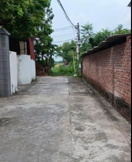 Chính chủ bán đất ở đô thị 240m2 – 2 mặt tiền tại Xã Nghĩa Đạo, Thuận Thành, Bắc Ninh – Mr.Hữu