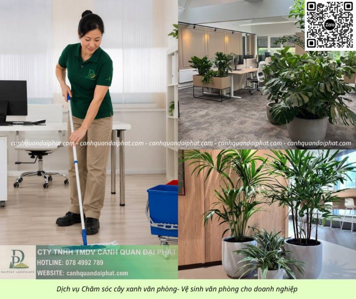 Dịch vụ vệ sinh - Chăm sóc cây xanh văn phòng Đồng Nai