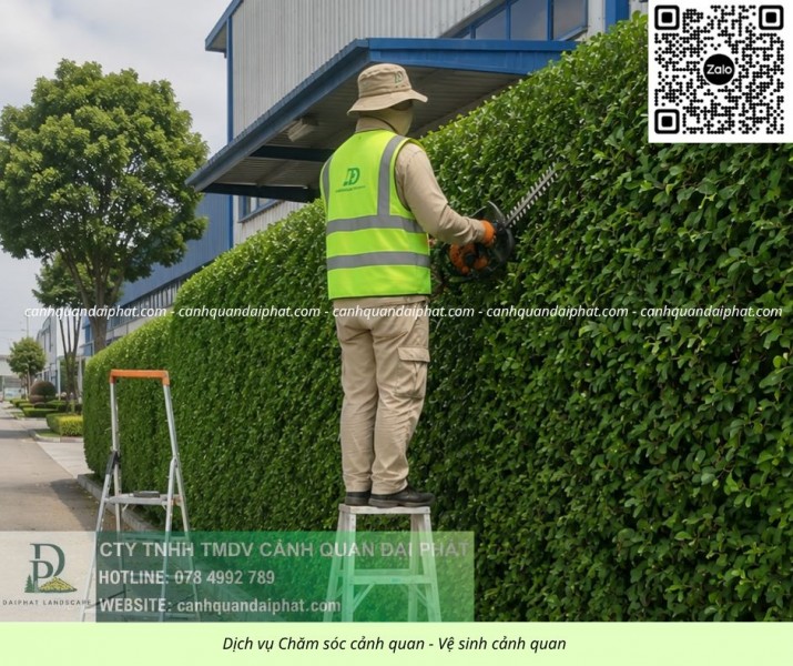 Công ty Chăm sóc cảnh quan Bảo dưỡng cảnh quan uy tín tại Đồng Nai