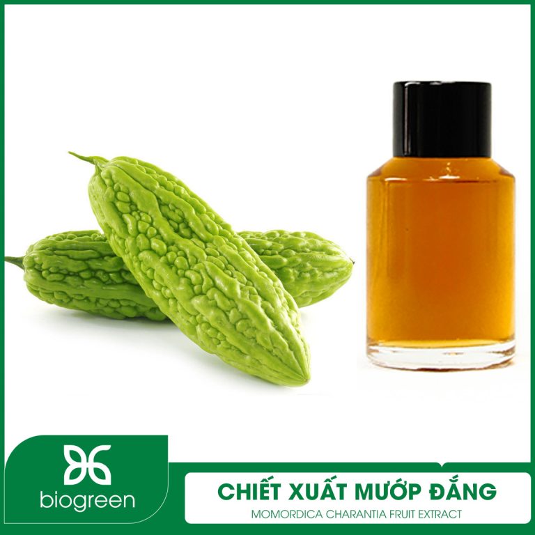 Chiết Xuất Mướp Đắng – Bí Quyết Làm Đẹp Từ Thiên Nhiên 