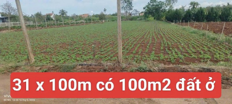 Bán 3120m2 đất xã Tân Hội Đức Trọng Lâm Đồng 4 tỷ