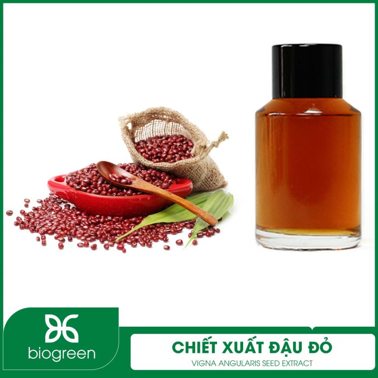 CHIẾT XUẤT ĐẬU ĐỎ – 