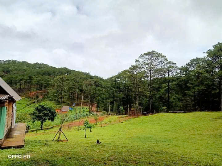 KẸT TIỀN BÁN NHANH LÔ ĐẤT  XÃ ĐA NHIM _ LẠC DƯƠNG - ĐÀ LẠT -LÂM ĐỒNG.
