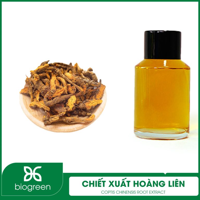 BÍ MẬT LÀN DA SÁNG KHỎE TỪ THIÊN NHIÊN – CHIẾT XUẤT HOÀNG LIÊN 