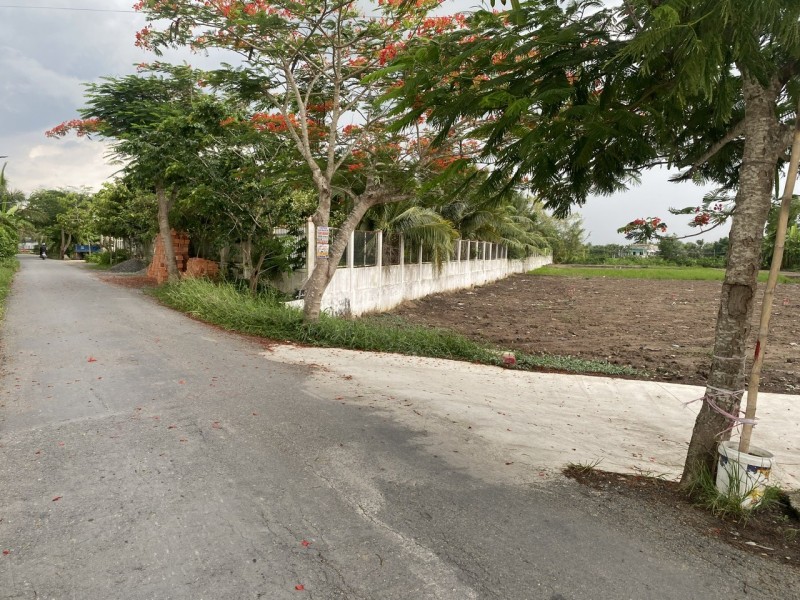 ĐẤT ĐẸP – GIÁ TỐT- CHÍNH CHỦ CẦN BÁN ĐẤT Tại  Xã Tân Lân, Huyện Cần Đước, Long An