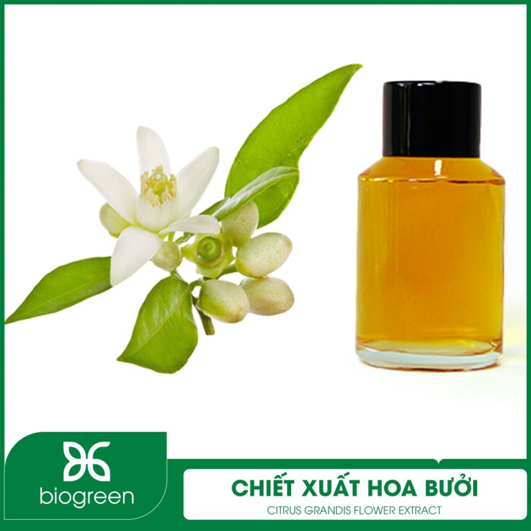 BẬT MÍ BÍ MẬT LÀM ĐẸP TỪ HOA BƯỞI - NGUYÊN LIỆU VÀNG TRONG MỸ PHẨM TỰ NHIÊN
