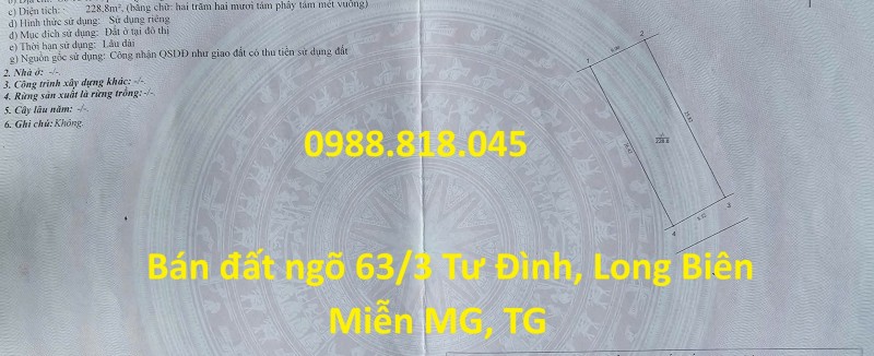 Chính chủ bán đất phân lô ngõ 63 Tư Đình, phường Long Biên, thành phố Hà Nội, 229m2, đường ô tô