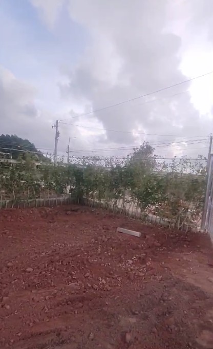 Chính chủ bán 2 lô đất liền kề đối diện KCN Đất Đỏ - Mỗi lô 173m2, gần biển, chỉ 2,8 tỷ 1 lô