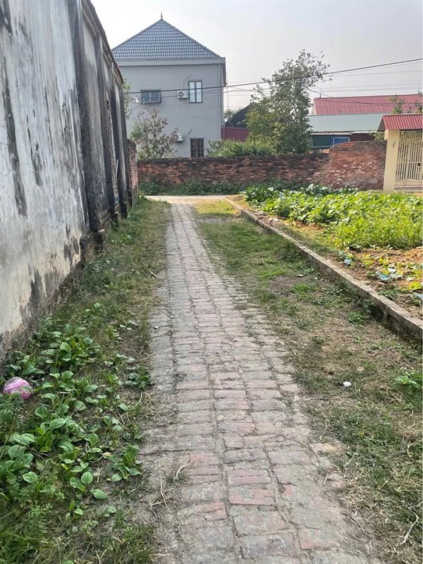 Đất nền Sóc Sơn Hà Nội 100m² chỉ hơn 2 tỷ - Sổ đỏ sẵn, ô tô vào đất, cơ hội đầu tư tăng giá