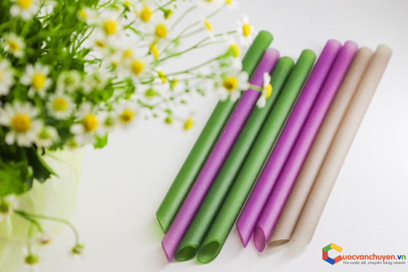 Thủ tục xuất khẩu ống hút gạo