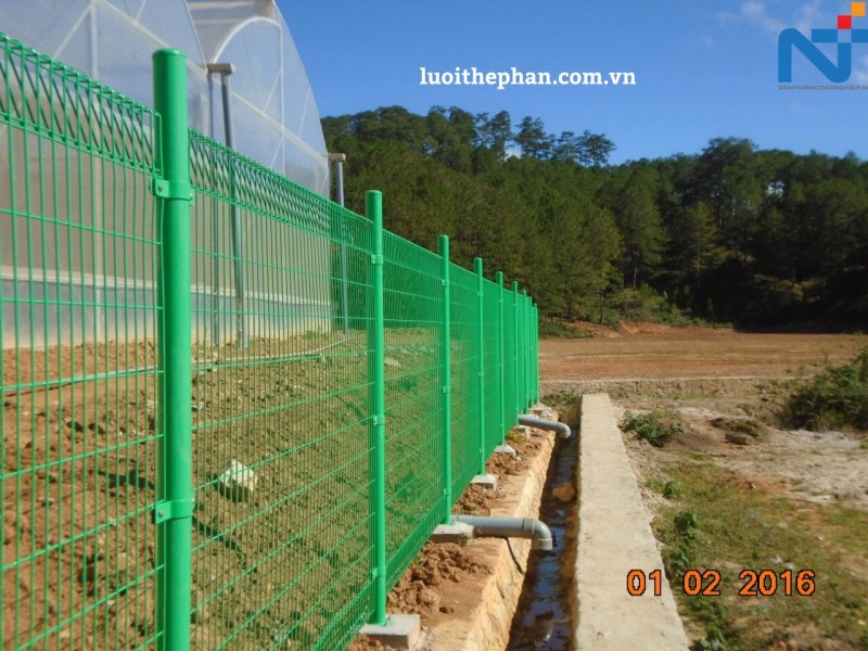 Hàng rào lưới thép giá tốt