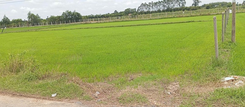 CHÍNH CHỦ CẦN BÁN LÔ ĐẤT ĐẸP TẠI ẤP AN ĐƯỚC – XÃ AN TỊNH – TRẢNG BÀNG, TÂY NINH