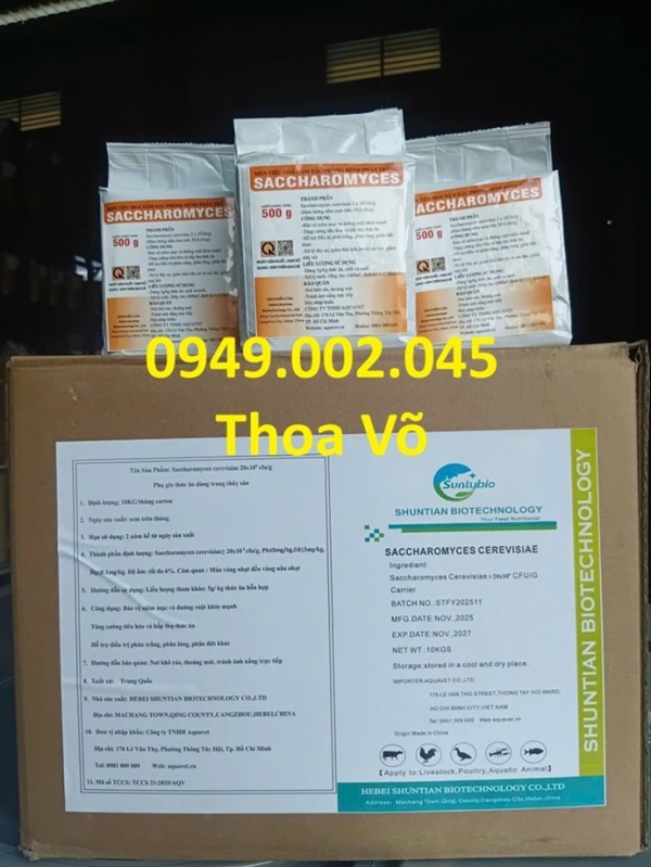 SACCHAROMYCES CEREVISIAE – Men Tiêu Hóa Đậm Đặc Cho Tôm Cá | Phòng Bệnh Phân Trắng Hiệu Quả