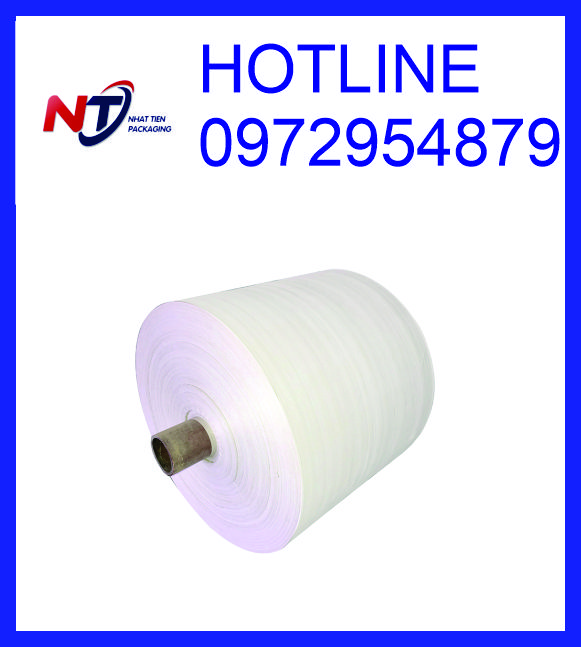Manh PP dệt dạng cuộn, manh PP có tráng, manh PP không tráng