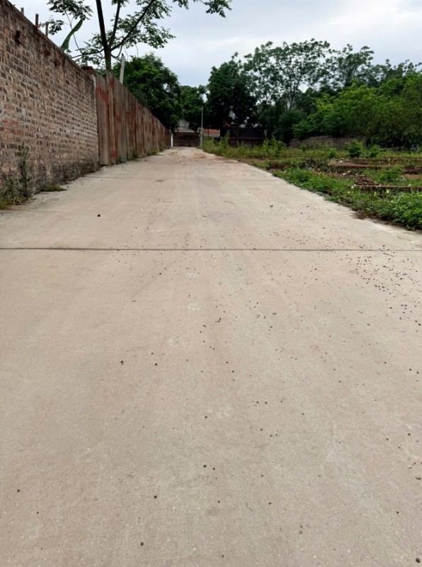 Em Dũng Land đang bán đất đẹp Thắng Hữu, Kim Anh, Hà Nội - Nhiều lựa chọn chỉ từ hơn 2 tỷ đồng