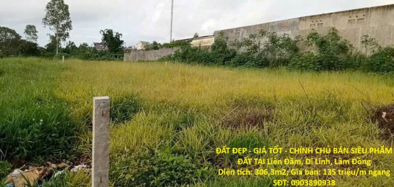 ĐẤT ĐẸP - GIÁ TỐT - CHÍNH CHỦ BÁN SIÊU PHẨM ĐẤT TẠI Liên Đầm, Di Linh, Lâm Đồng