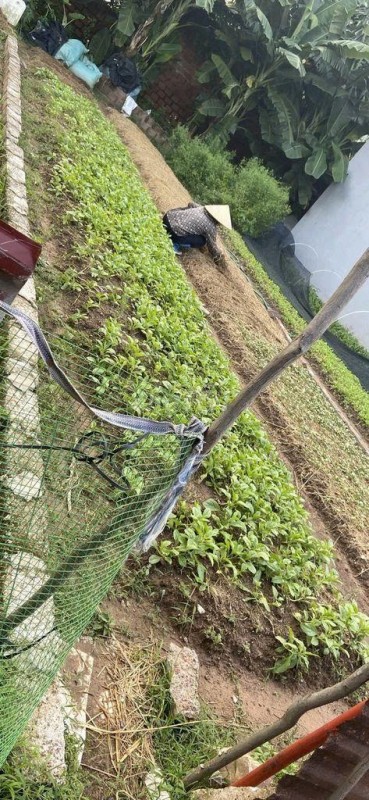 CHÍNH CHỦ BÁN ĐẤT THÔN NÚI 1 – GẦN VLASTA VĂN PHÚ, THỦY NGUYÊN, HẢI PHÒNG