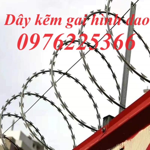 Dây thép gai đường kính D400