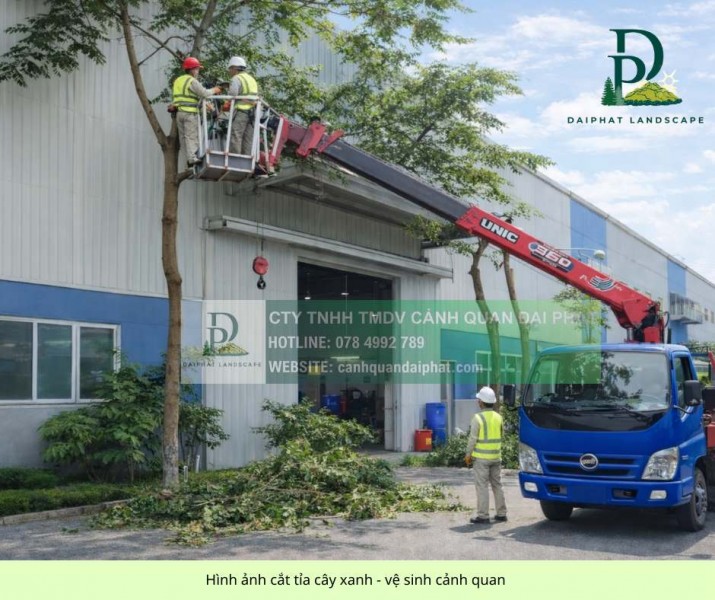 Dịch vụ Cắt cỏ, Cắt tỉa và Chăm sóc cây xanh nhà xưởng KCN Bình Dương