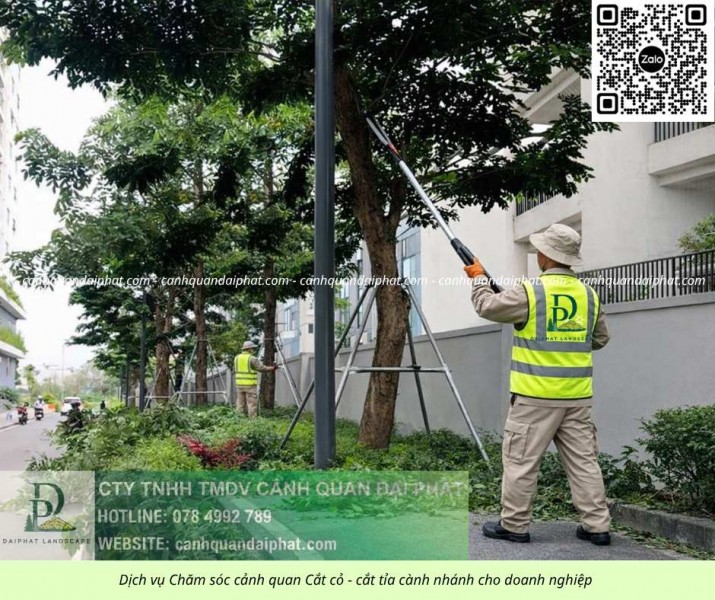 DỊCH VỤ CẮT CỎ – CHĂM SÓC CÂY XANH KCN LỘC AN BÌNH SƠN ĐỒNG NAI