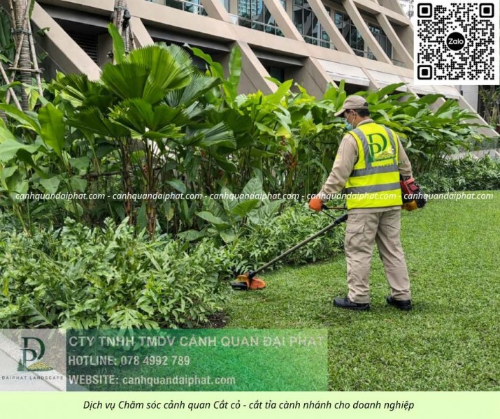 DỊCH VỤ CẮT CỎ – CHĂM SÓC CÂY XANH KCN LỘC AN BÌNH SƠN ĐỒNG NAI