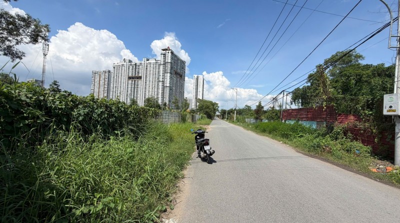 Hàng ngộp mặt tiền Đào Trí Quận 7 hơn 6.000m2 - Có dòng tiền cho thuê, giá cực tốt thị trường