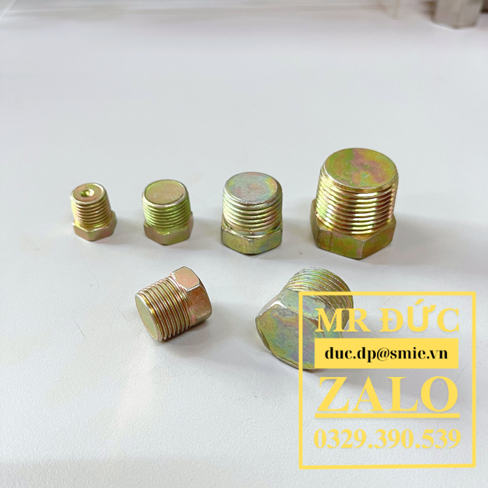 Nút bịt inox BSPP