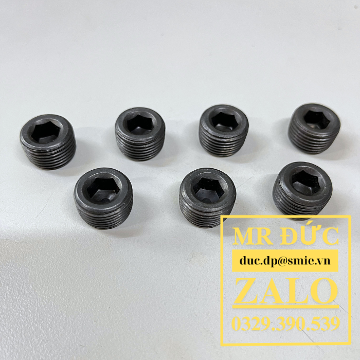 Nút bịt inox BSPP