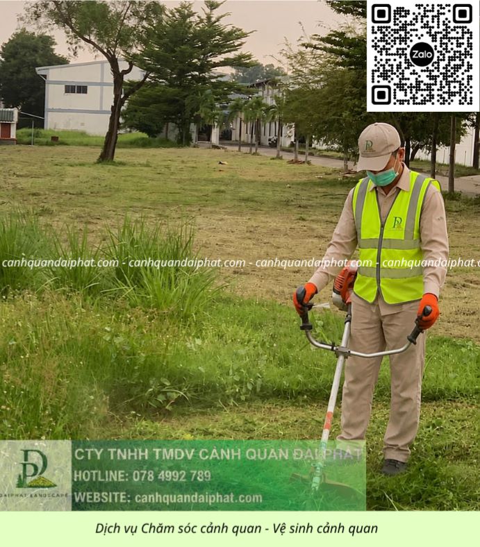 DỊCH VỤ CẮT CỎ – CƯA CÂY BÌNH DƯƠNG | NHANH CHÓNG – AN TOÀN – CHUYÊN NGHIỆP